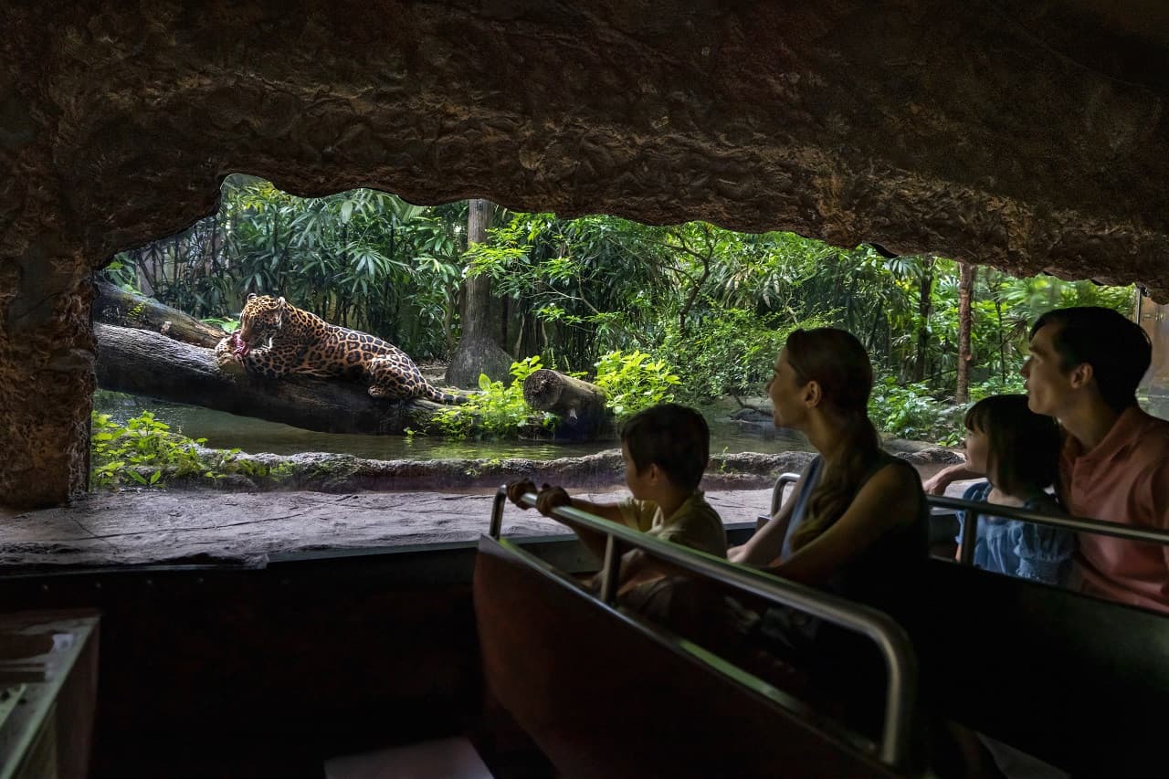 Mandai Destination Pass: Visit Up to 6 Attractions in 1 or 5 Days - image 12