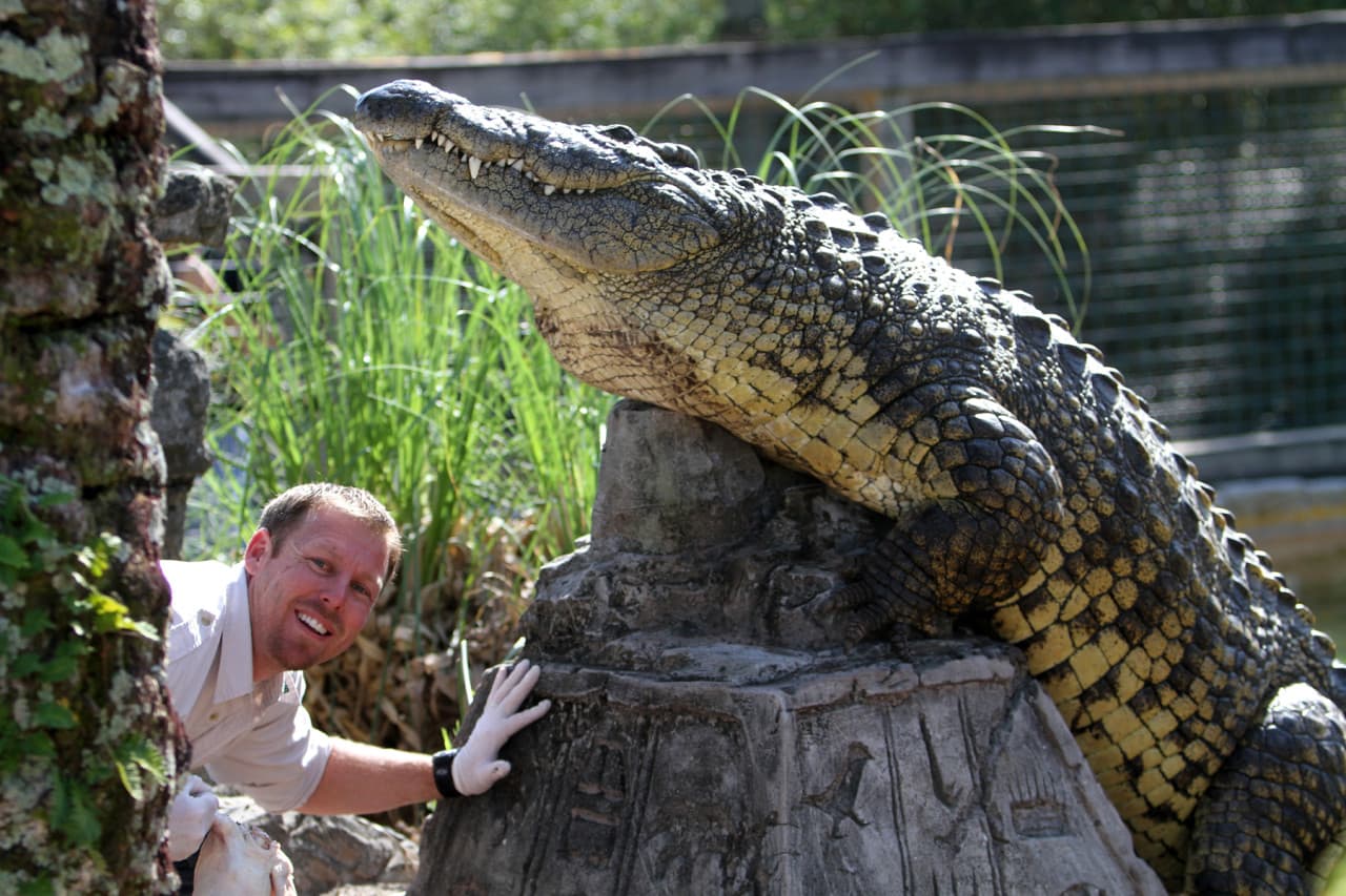 Go City Orlando All-Inclusive Pass: Save up to 50% on Attractions - image 8